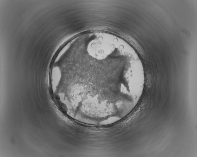 X0000112011036200908311130