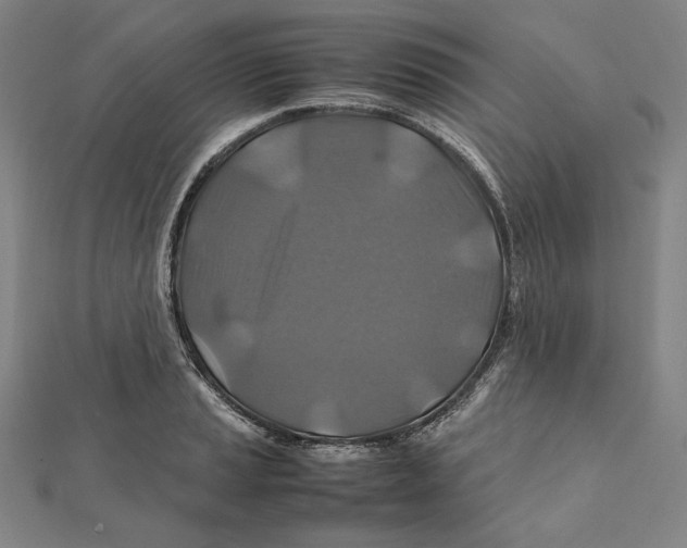 X0000112011037200908311130