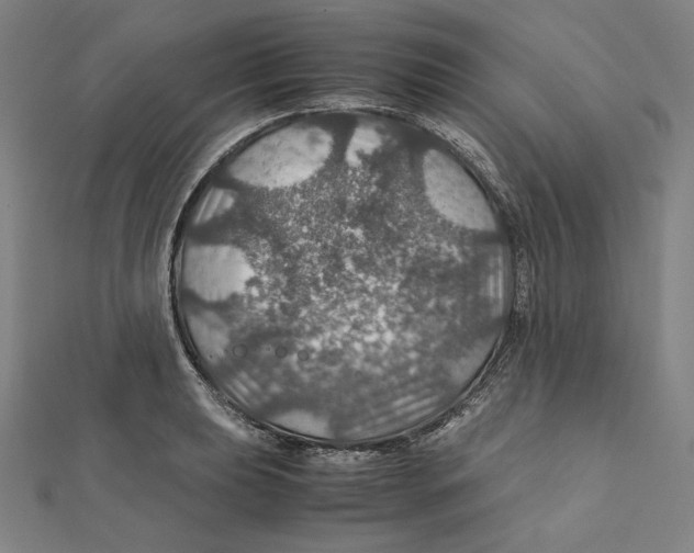 X0000112011039200908311130