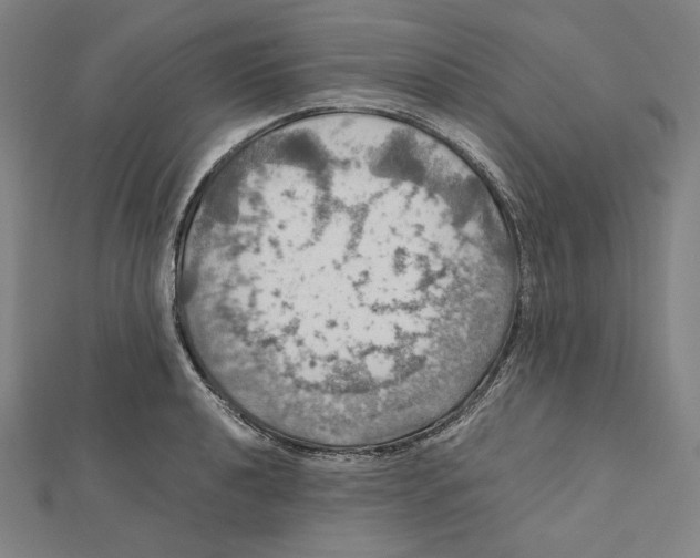 X0000112011040200908311130
