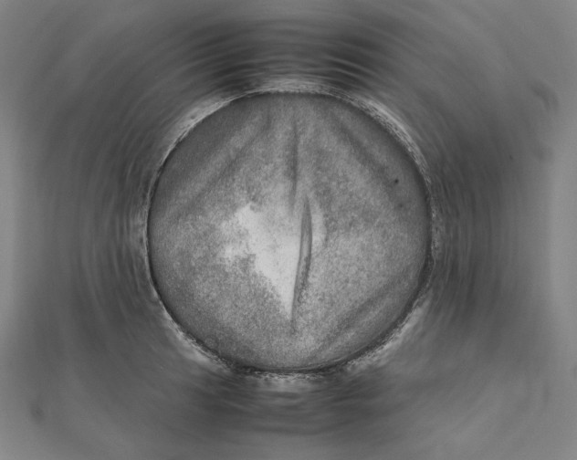 X0000112011041200908311130