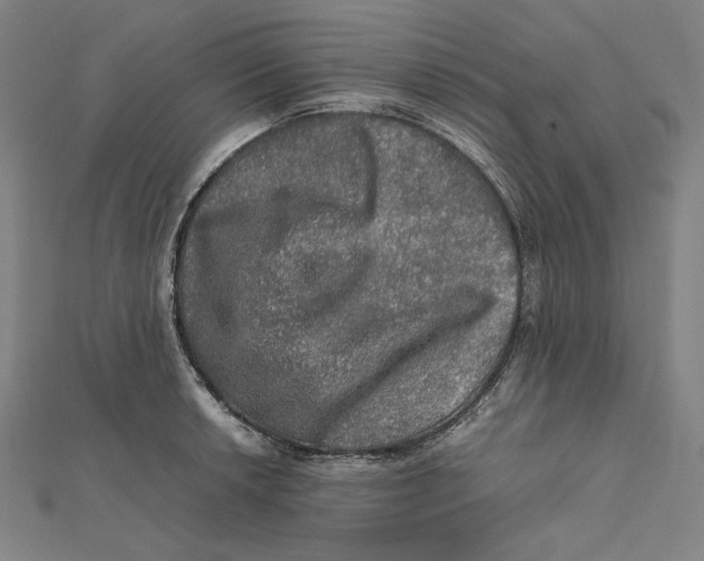 X0000112011042200908311130