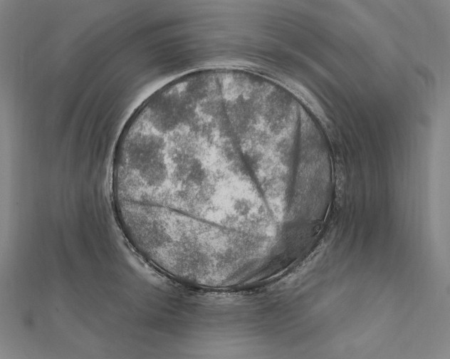 X0000112011044200908311130