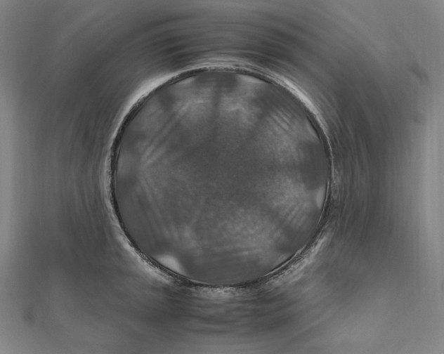 X0000112011045200908311130
