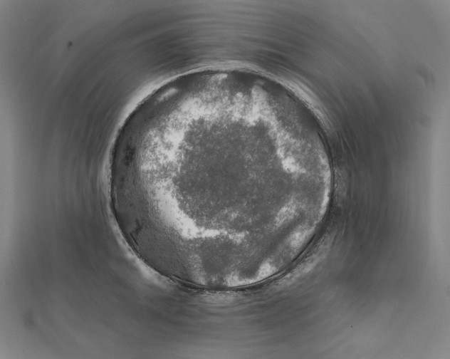 X0000112011046200908311130
