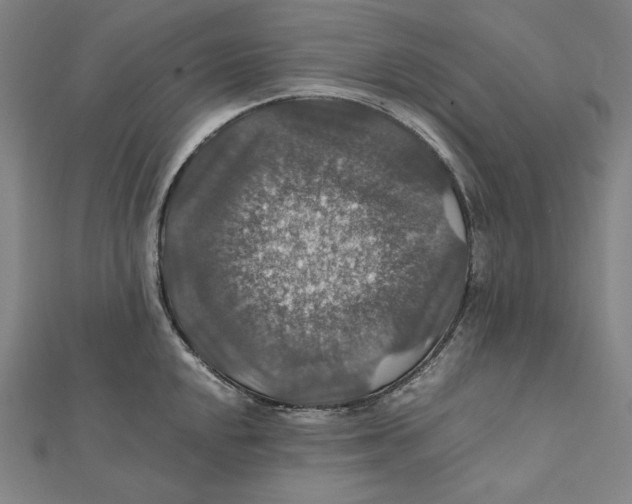 X0000112011048200908311130