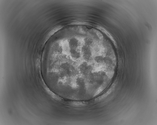 X0000112011049200908311130