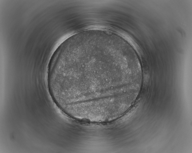 X0000112011050200908311130