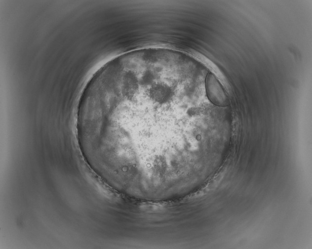 X0000112011051200908311130