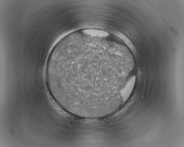 X0000112011052200908311130