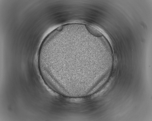 X0000112011053200908311130