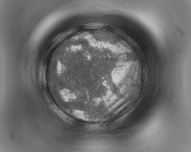 X0000112011054200908311130