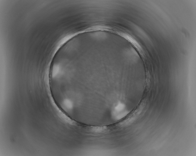 X0000112011055200908311130