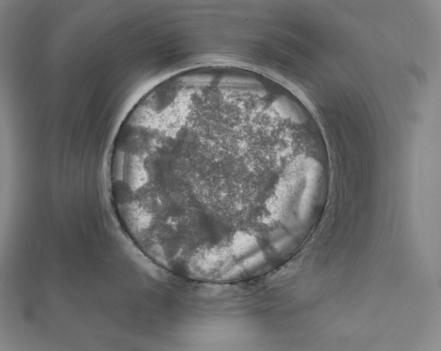 X0000112011056200908311130
