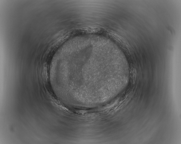 X0000112011058200908311130