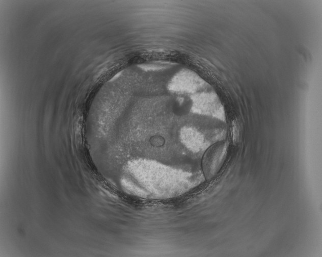 X0000112011059200908311130