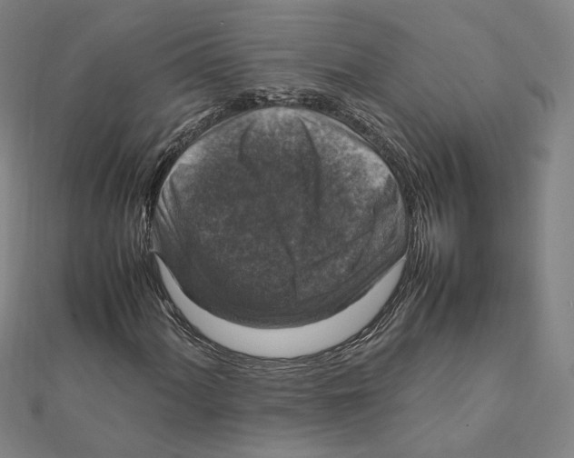 X0000112011060200908311130