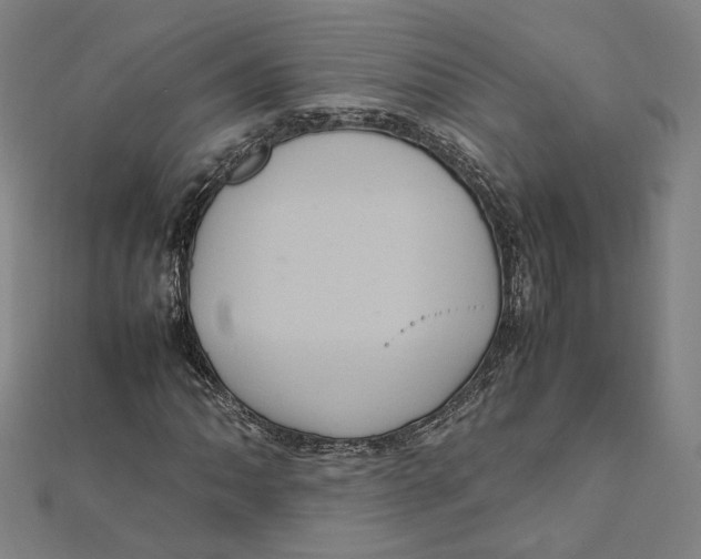 X0000112011062200908311130