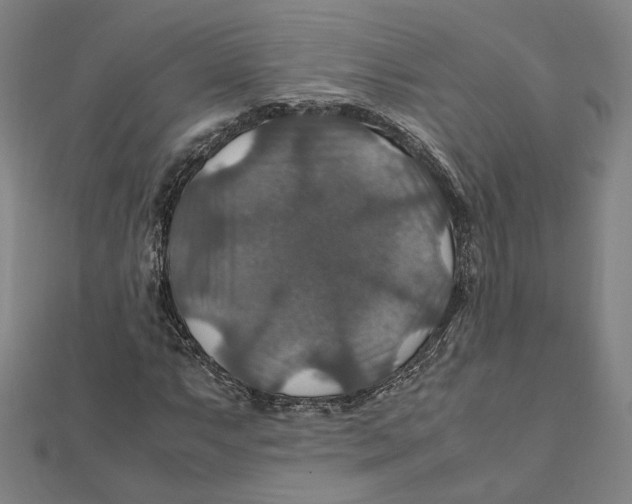 X0000112011063200908311130