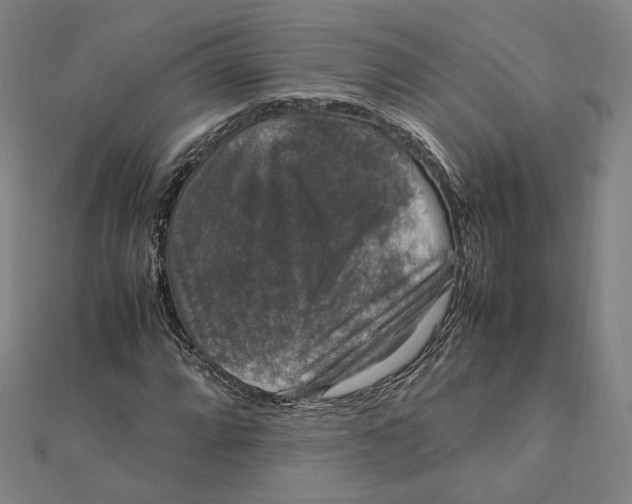 X0000112011064200908311130