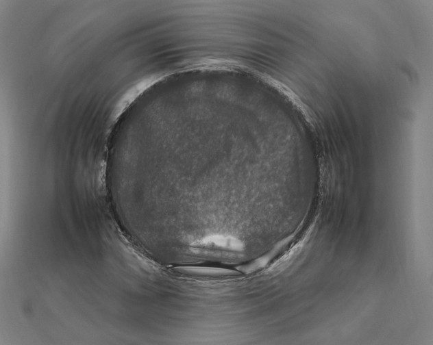 X0000112011066200908311130