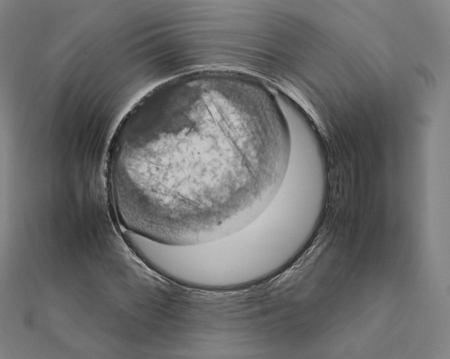 X0000112011068200908311130