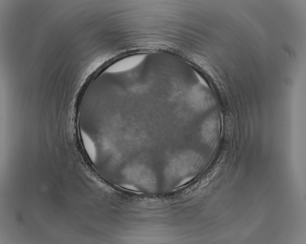 X0000112011071200908311130