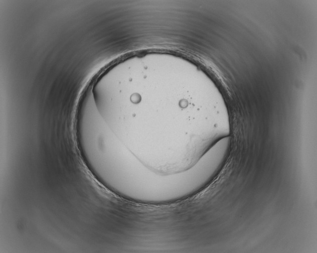 X0000112011072200908311130