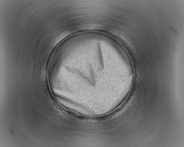 X0000112011073200908311130