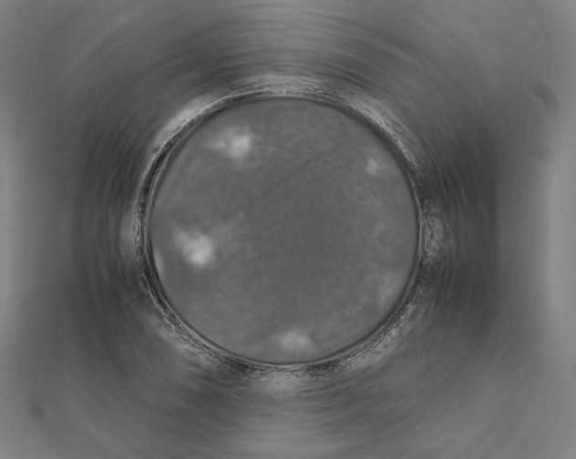 X0000112011074200908311130