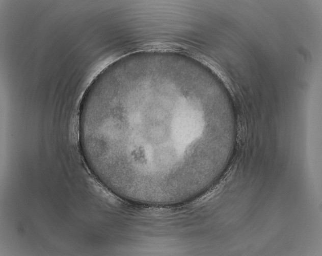 X0000112011075200908311130