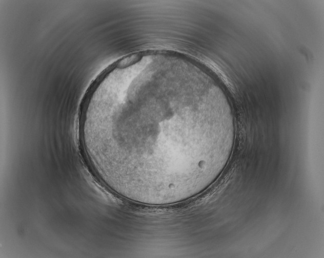 X0000112011076200908311129