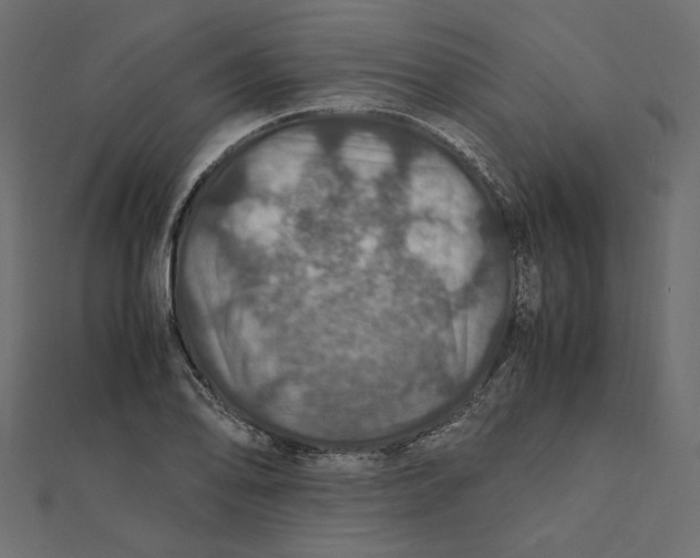 X0000112011078200908311129
