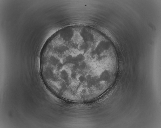 X0000112011079200908311129
