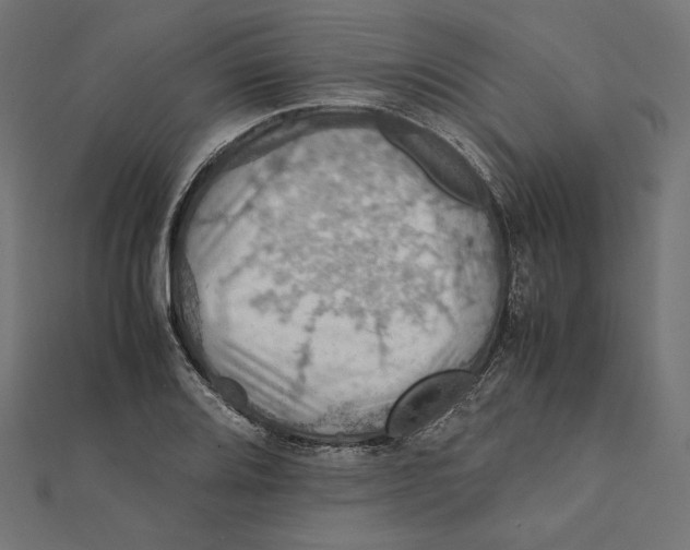 X0000112011080200908311129
