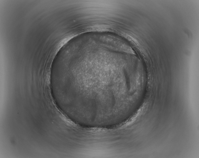 X0000112011081200908311129