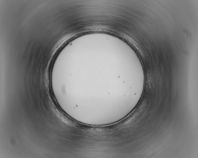X0000112011082200908311129