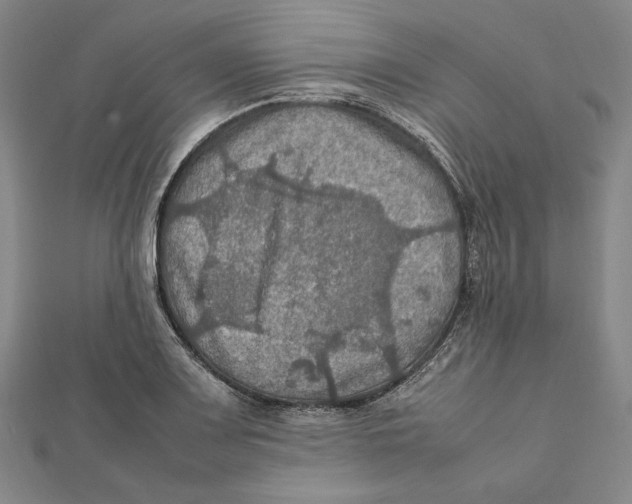 X0000112011083200908311129