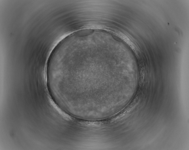 X0000112011084200908311129