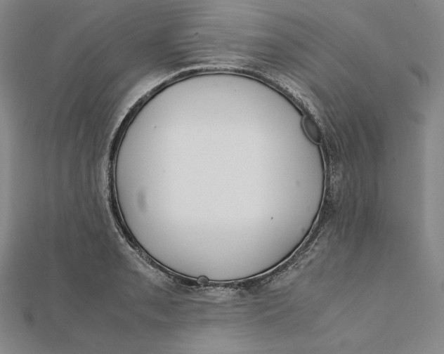 X0000112011085200908311129