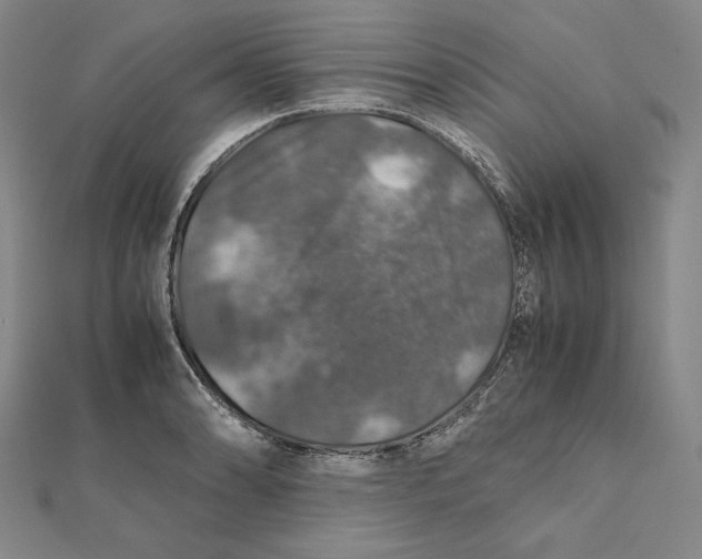 X0000112011086200908311129