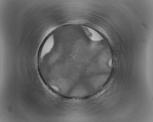 X0000112011087200908311129
