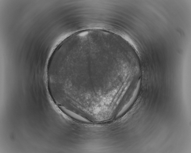 X0000112011088200908311129