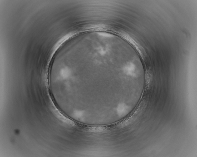 X0000112011090200908311129