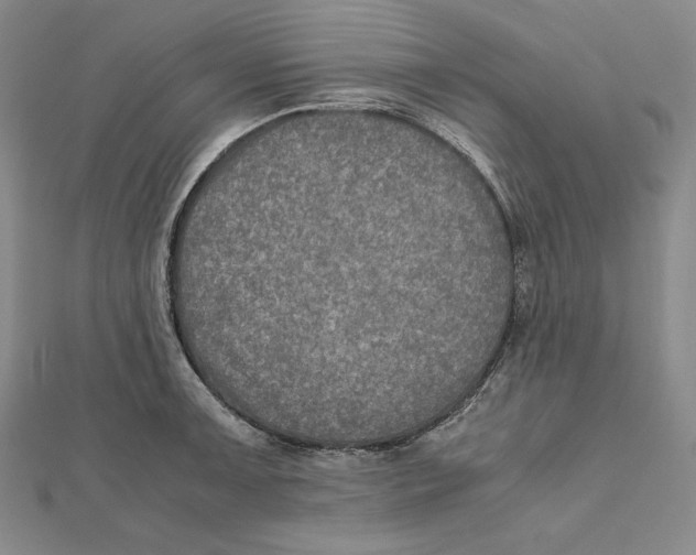 X0000112011091200908311129