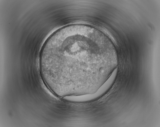 X0000112011092200908311129