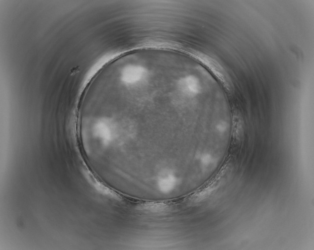 X0000112011094200908311129