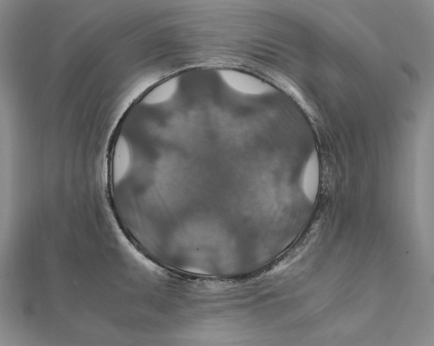 X0000112011095200908311129