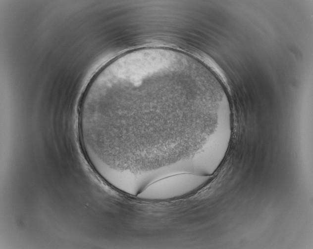X0000112011096200908311129