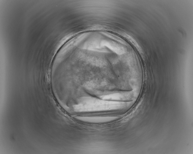 X0000112011097200908311129